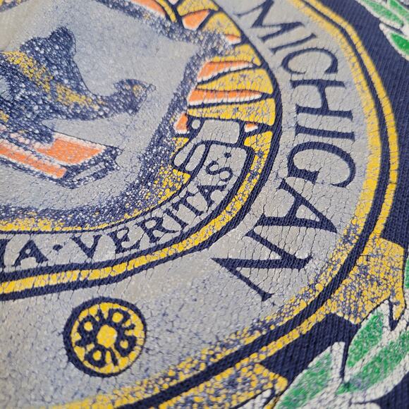 Vintage Michigan University Sweatshirt Blue 50/50 Delta Made in USA Well Worn L - Picture 6 of 10